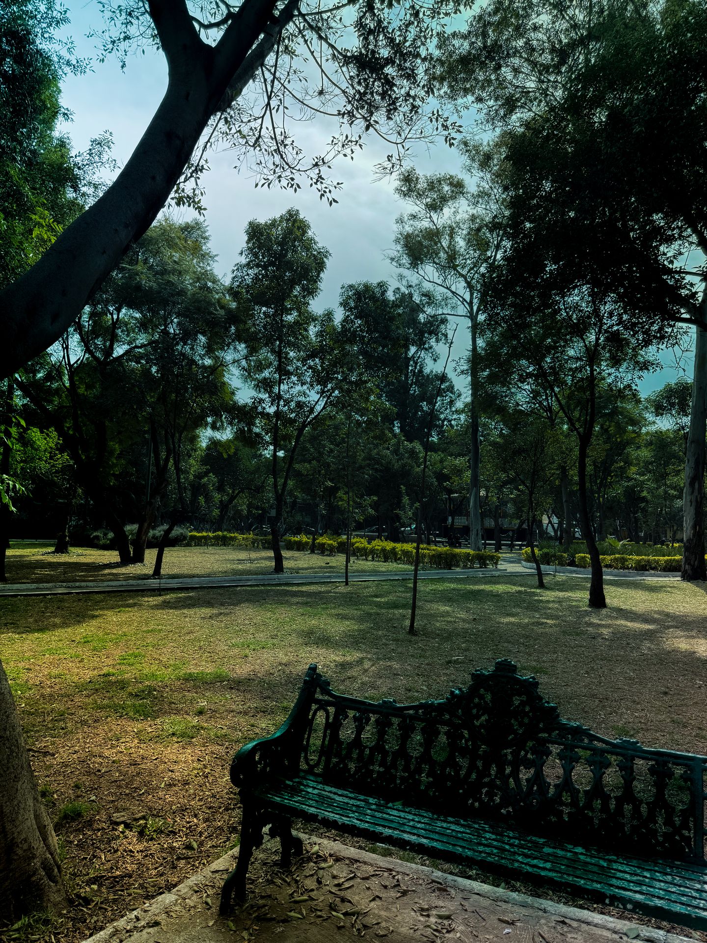 Photo UF8XqF%LI9IV*0bdDiRi?cx[IARj?uxuMxRj