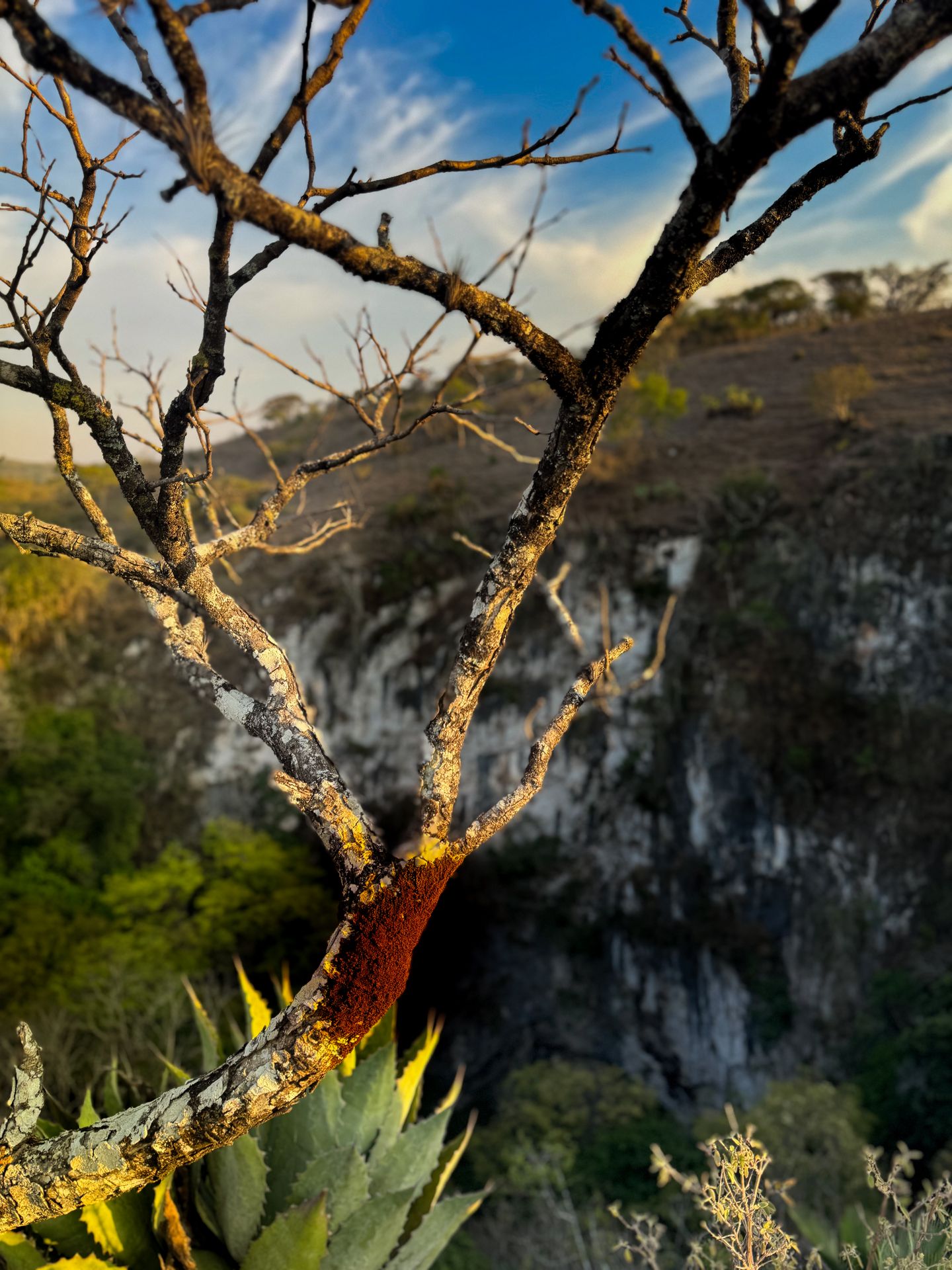 Photo UJBf;3?ZWUR*~qxus:oc.8kDofWY%gNINHWX