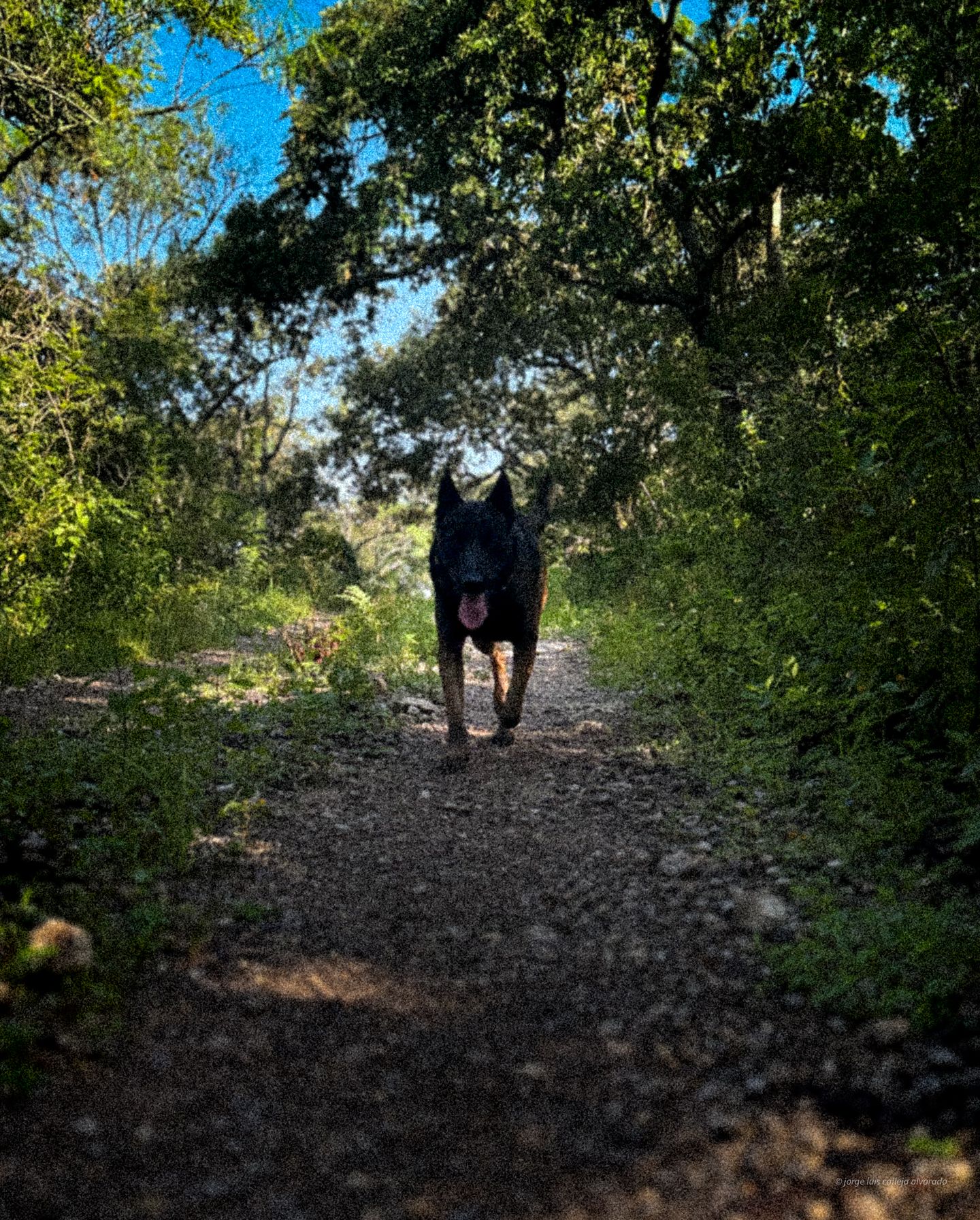 Photo U77e6N_MInRh?^.8t7ngEUXU%MxsSjSjo#xu