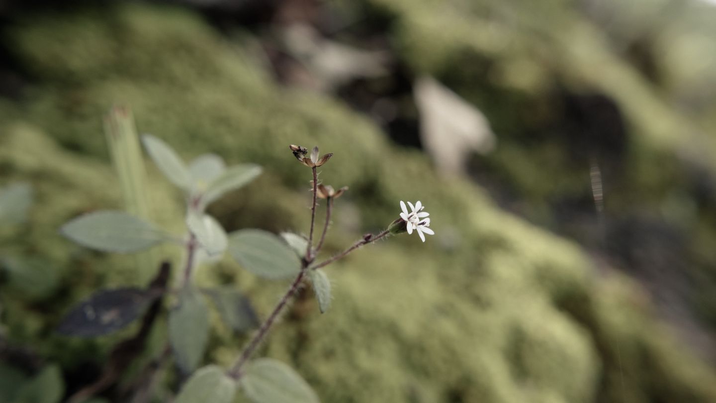 Photo U5DvcKIvtk_L4X%FR$%L4oDkV@9G_04rxtR$